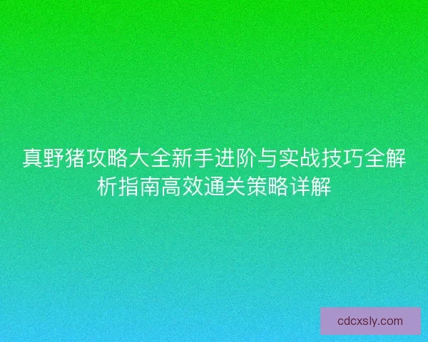 真野猪攻略大全新手进阶与实战技巧全解析指南高效通关策略详解