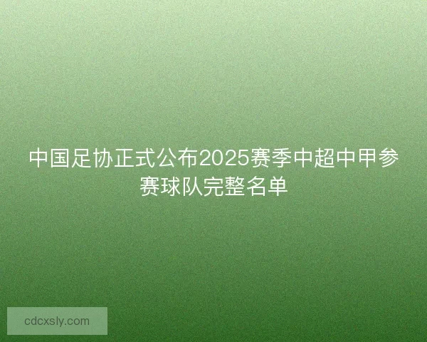 中国足协正式公布2025赛季中超中甲参赛球队完整名单
